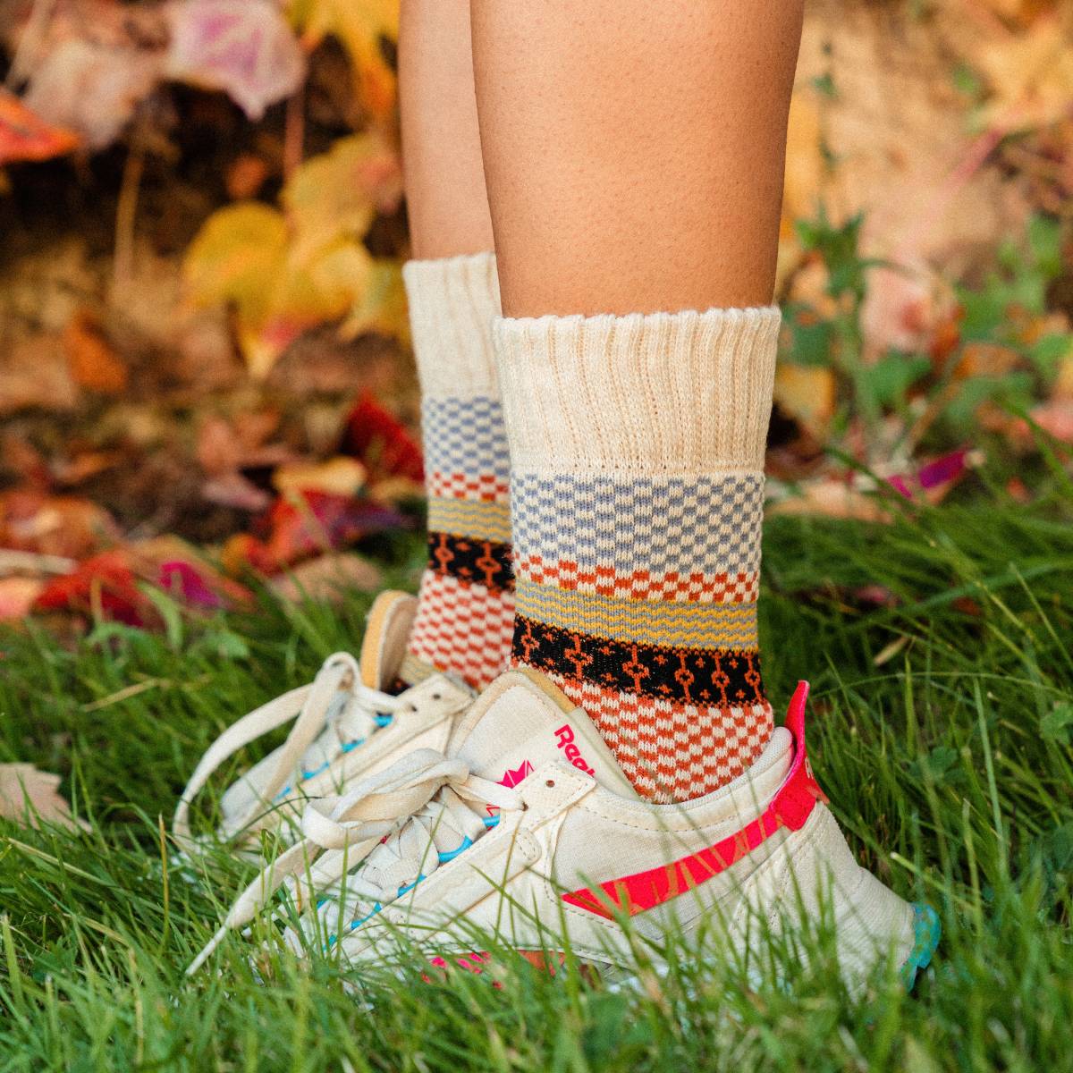 Tore (5 Paar) - Image 3